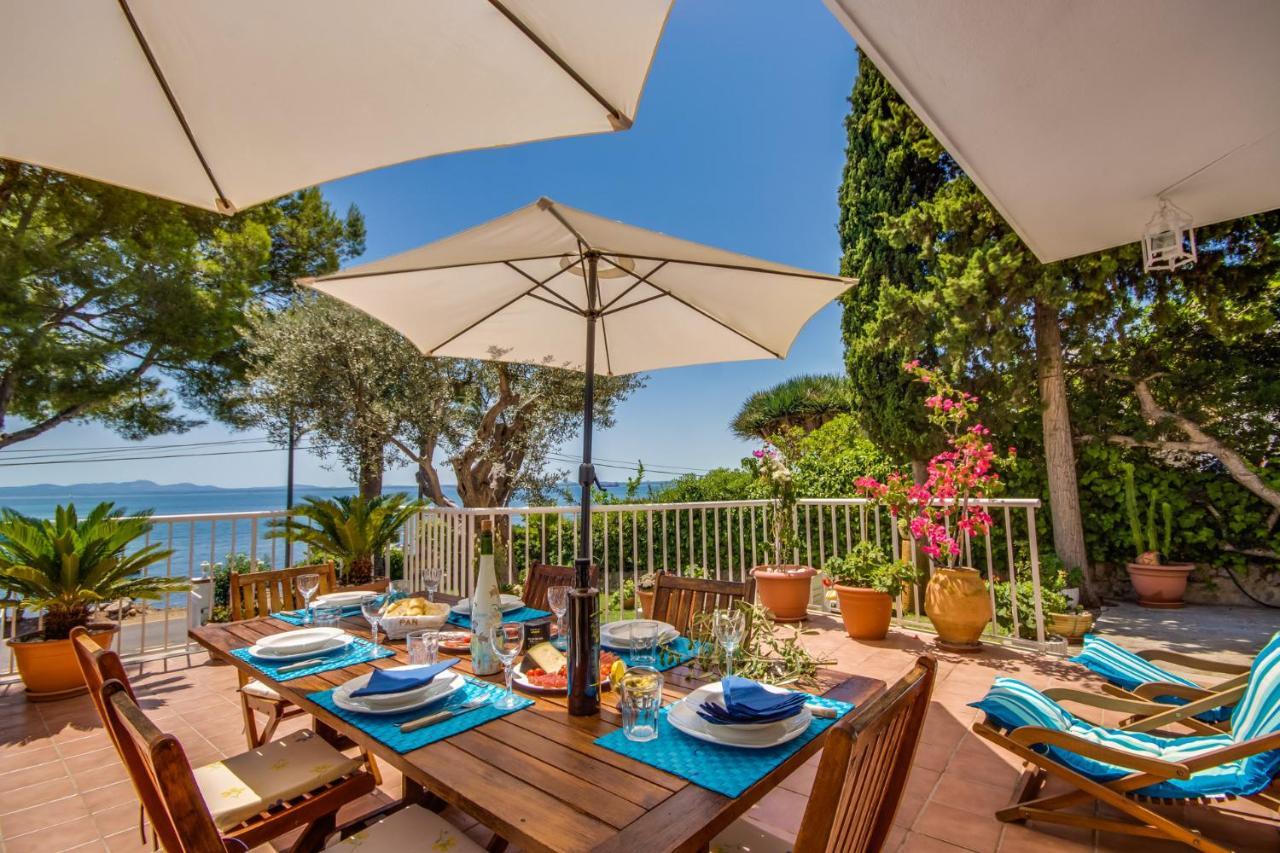 Feriehus Ideal Mallorca - Bell Punt